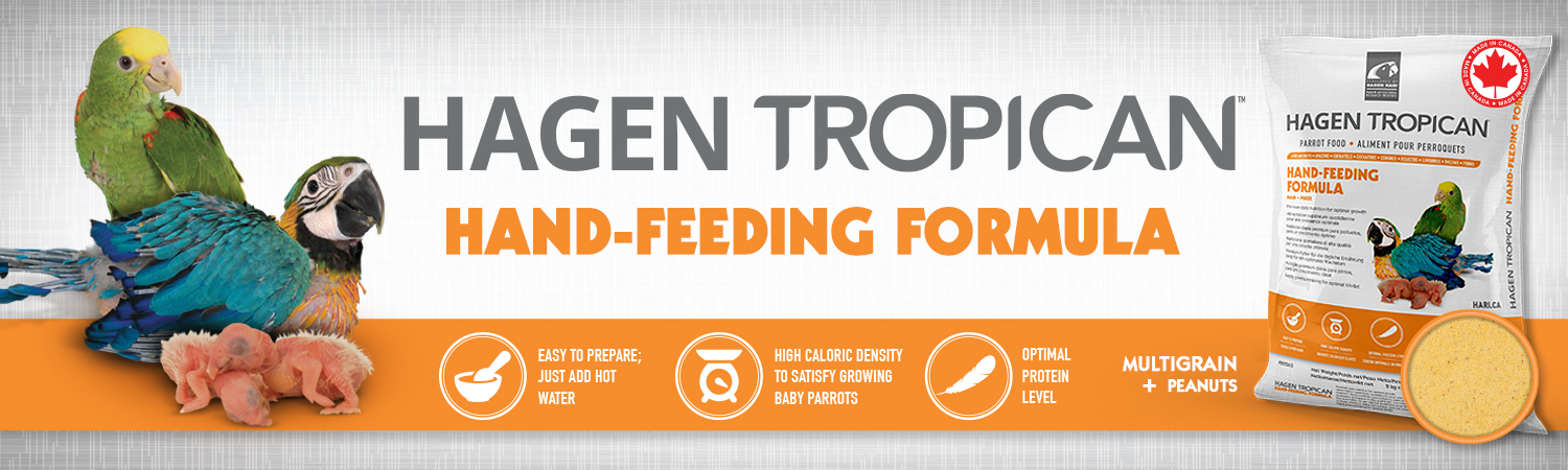 3 tropican hand feeding 2020 rev | سرلاک طوطی سانان هاگن