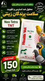 تی ان تی بلژیکی - Image 2