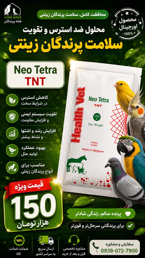 تی ان تی بلژیکی - Image 2