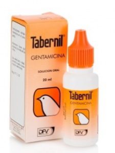 phpThumb generated thumbnailjpg 2 | تابرنیل جنتامایسین gentamicina tabernil