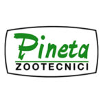 pineta