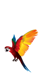 000 | صفحه