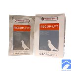 میکس الکترولیت بر پایه گلوکز recup-Lyt