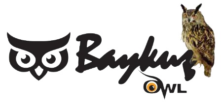 5807872 logopng | قرص سرشار از کلسیم پرندگان Baykuş Sarmısoviç