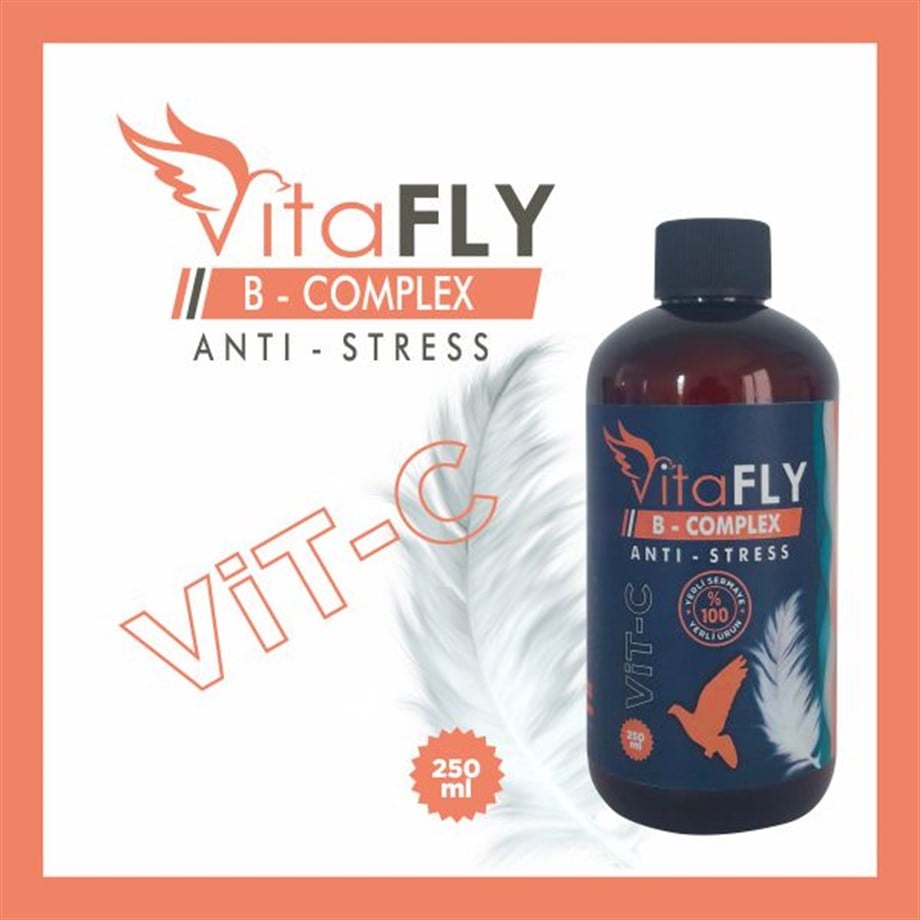 vitafly b complex anti stress 250 ml k 4fe2 | بکمپلکس همراه ویتامین C ویتا فلای