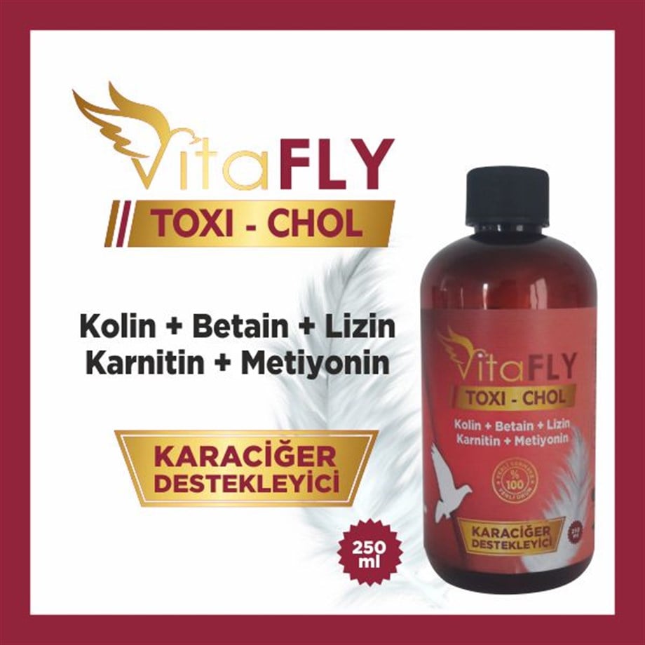vitafly toxi chol 250 ml kafes kuslari 30e937 | کبدشور تاکسی کول ویتا فلای TOXY-CHOL