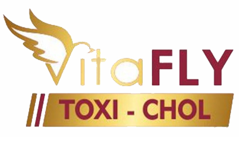 vitafly toxi chol 250 ml | کبدشور تاکسی کول ویتا فلای TOXY-CHOL