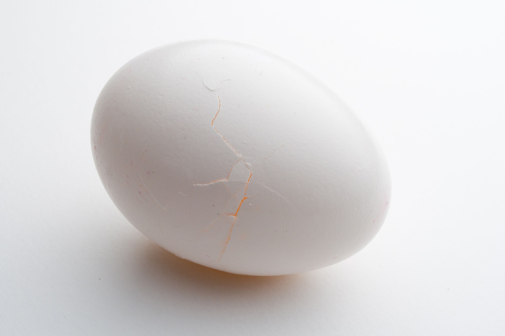 cracked egg royalty free image 1701455845 | چگونه از تخم نطفه دار ترک خورده (شکسته) جوجه کشی کنیم؟