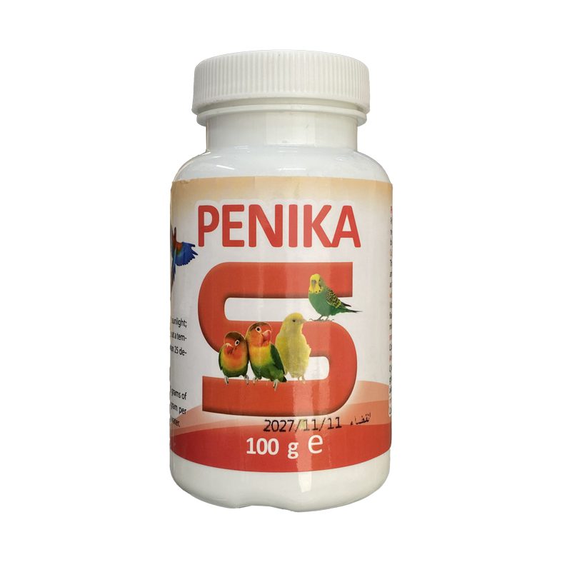 penika S 1 | صفحه