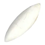 کف دریا کد M136 وزن 70 گرم - Image 2
