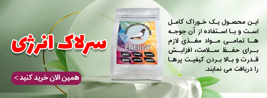 سرلاک کبوتر انرژی