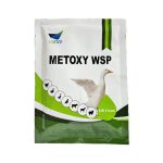 پودر متوکسی METOXY WSP