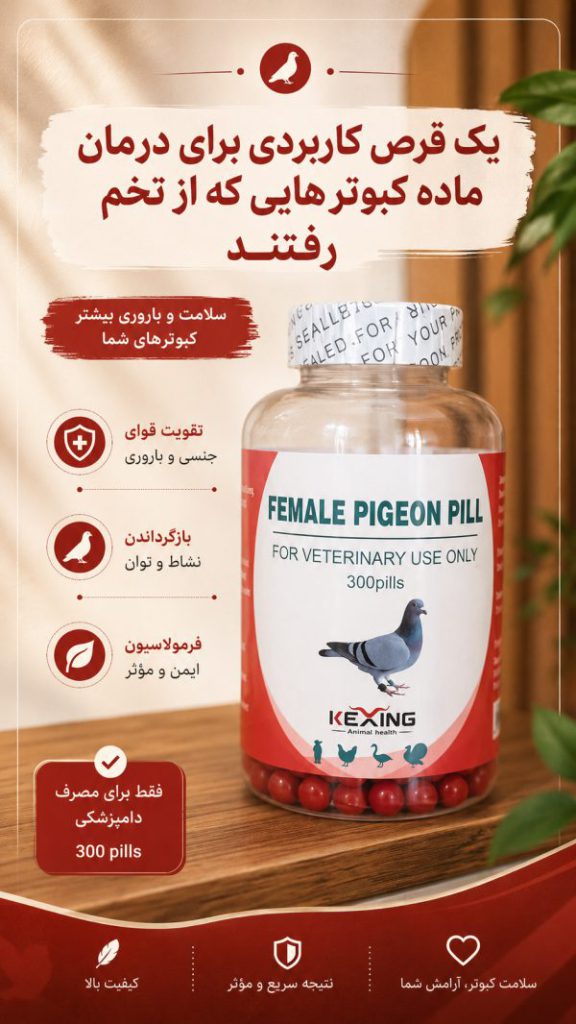 file 00000000edc071f4b77b362757d6082b 600x1066 1 | صفحه